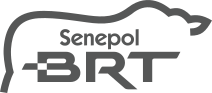 Senepol BRT